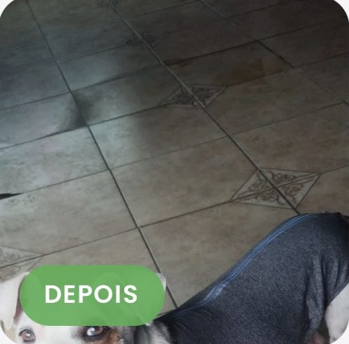 Theodoro depois